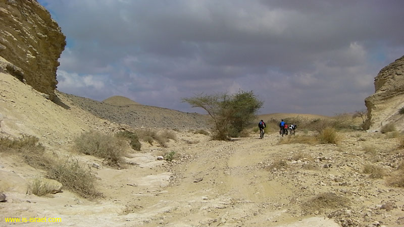 SANY0884