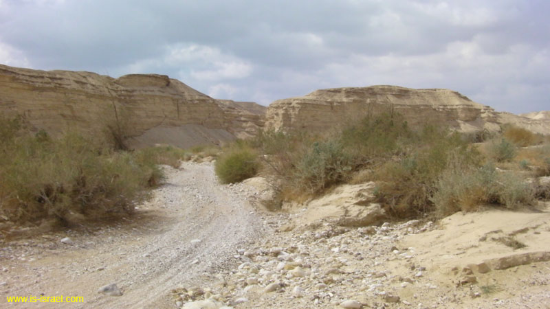 SANY0904
