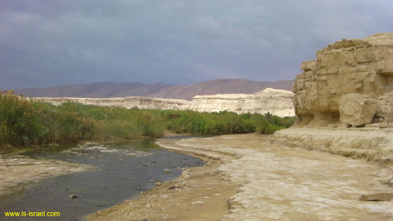 SANY0911