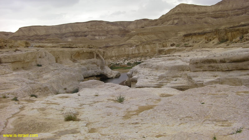 SANY0962