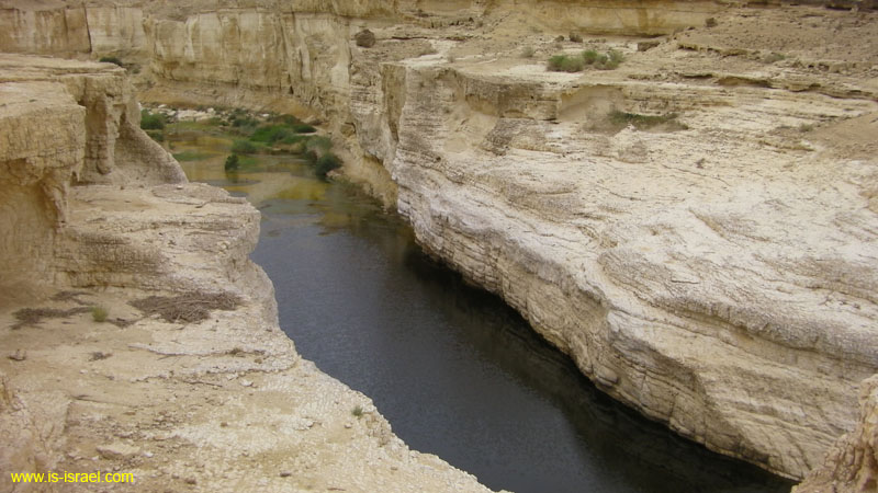 SANY0965