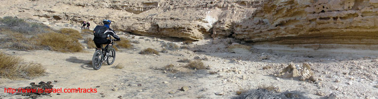 panorama1