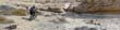 panorama1