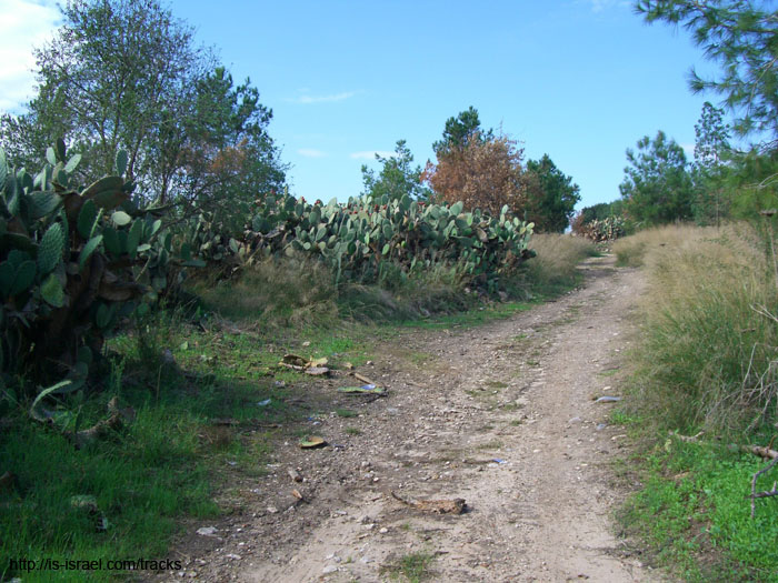 CIMG0704