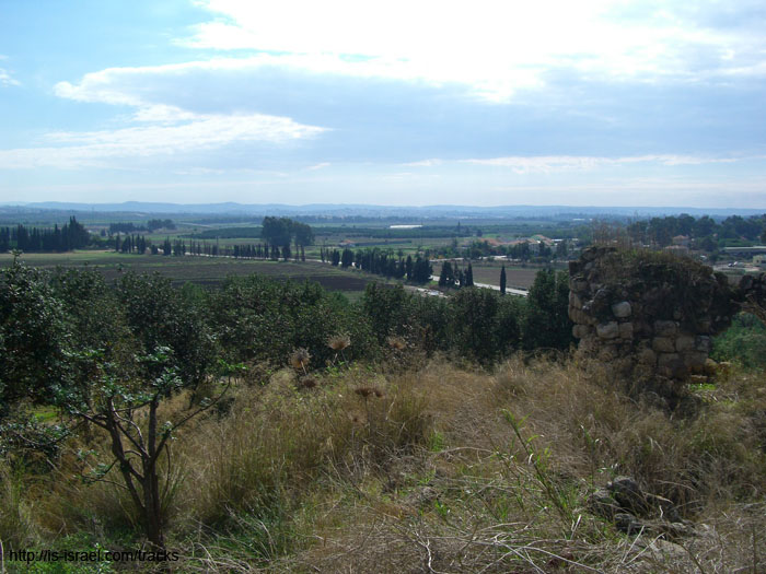 CIMG0709