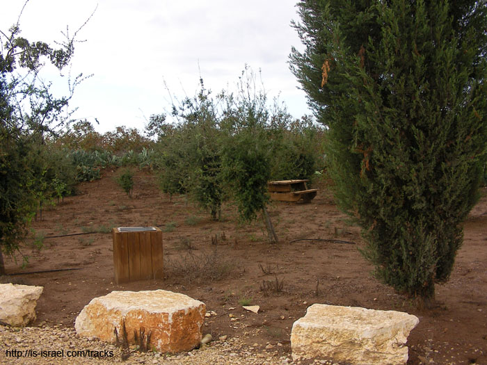 SANY0114