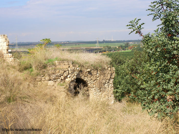 SANY0138