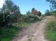 CIMG0704