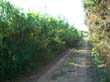 CIMG0735