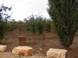 SANY0114