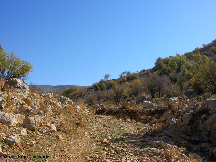 SANY0194