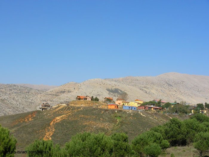 SANY0272