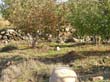 SANY0286