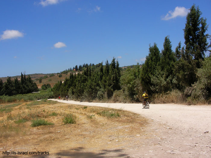 SANY4470