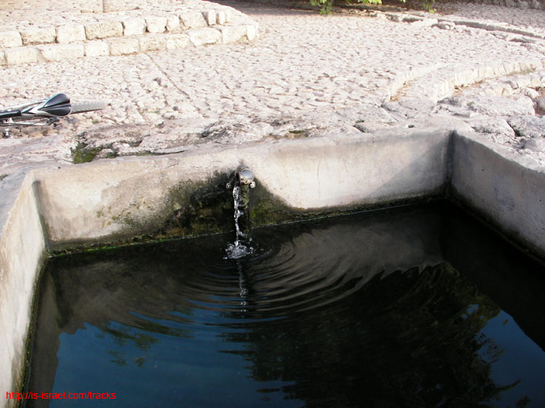 SANY0047