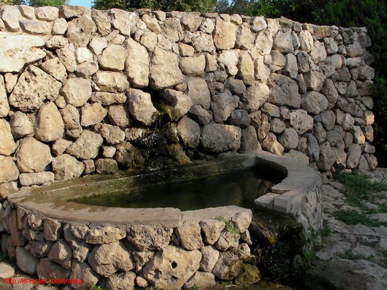 SANY0052