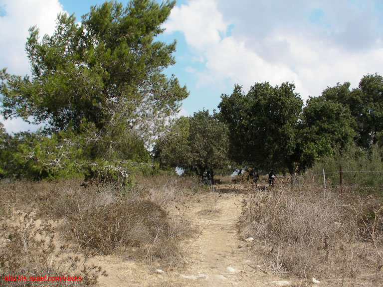 SANY0133