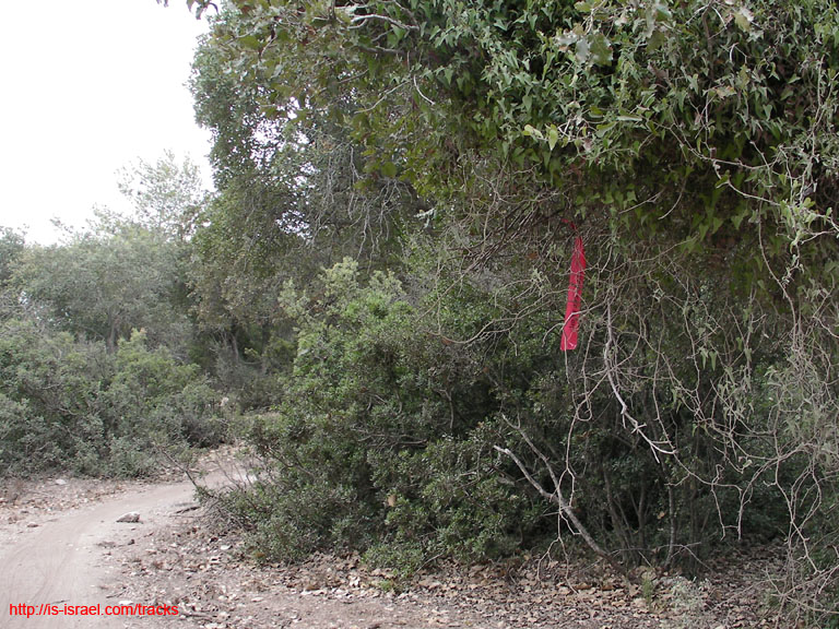 SANY0152