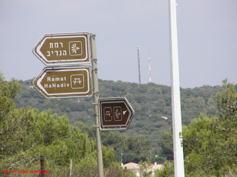 SANY0203