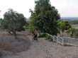 SANY0014