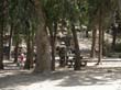 SANY0165
