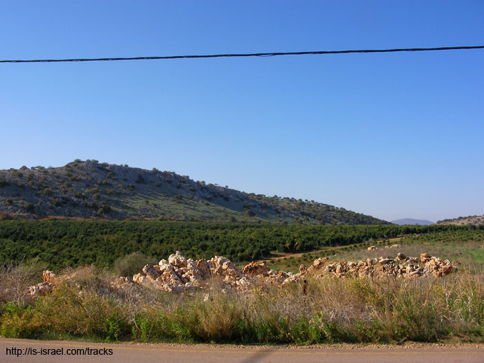 SANY0652