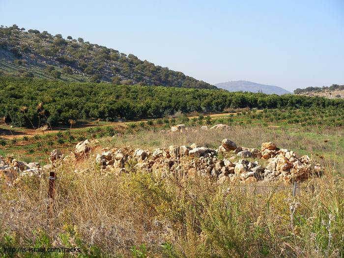 SANY0656