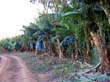 SANY0810
