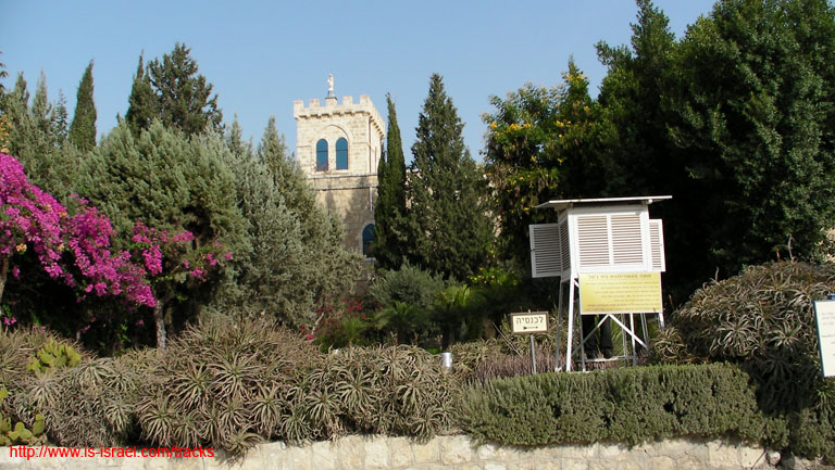 SANY2878
