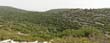 panorama1