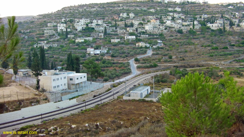 SANY0309