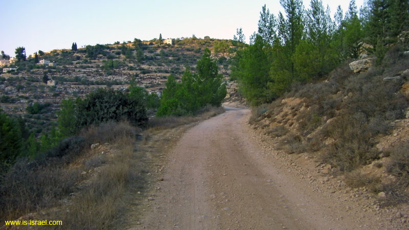 SANY0310