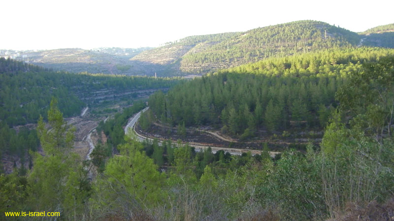 SANY0332