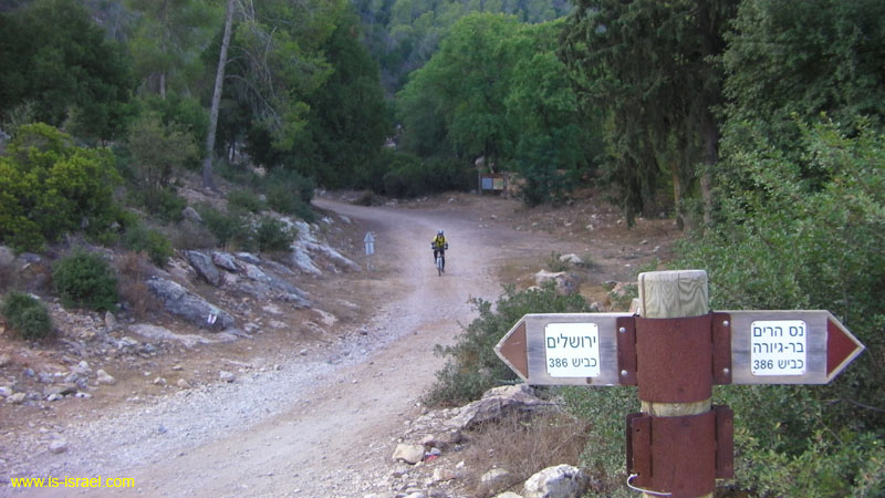 SANY0342