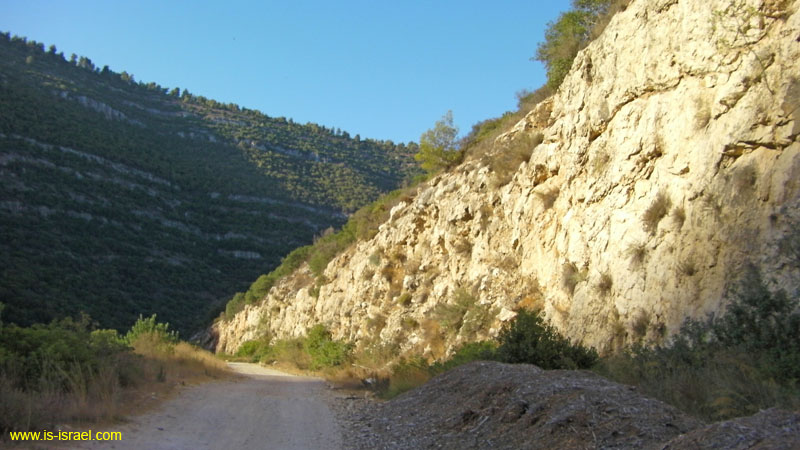SANY0349