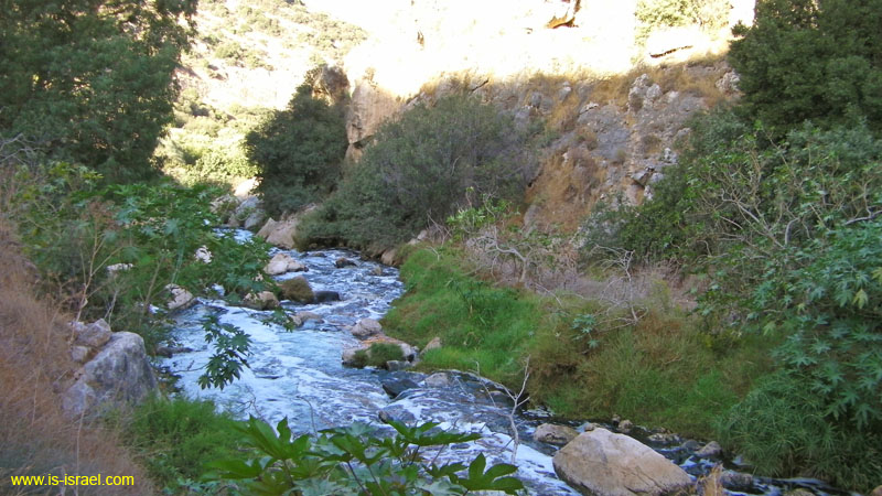 SANY0352