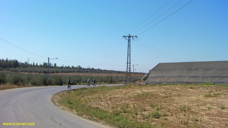 SANY0389