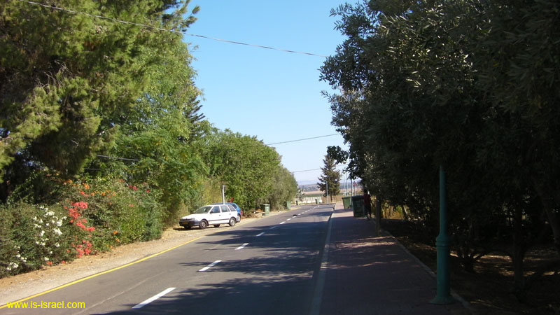 SANY0427