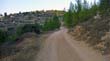 SANY0310