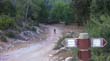 SANY0342