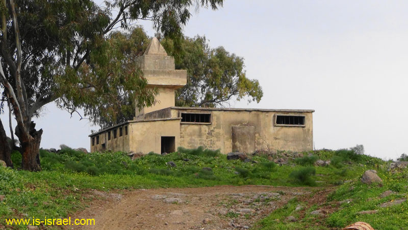 DSC09001