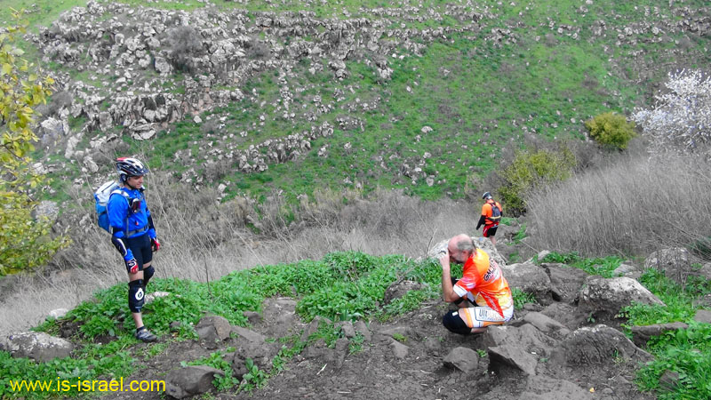 DSC09018