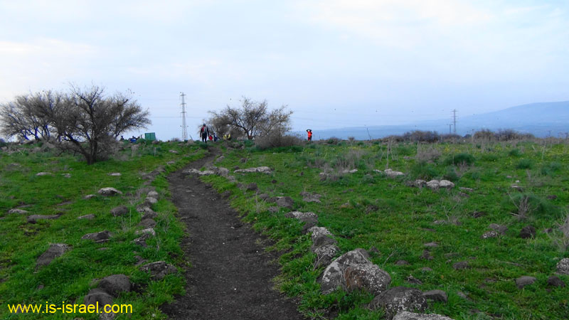 DSC09052