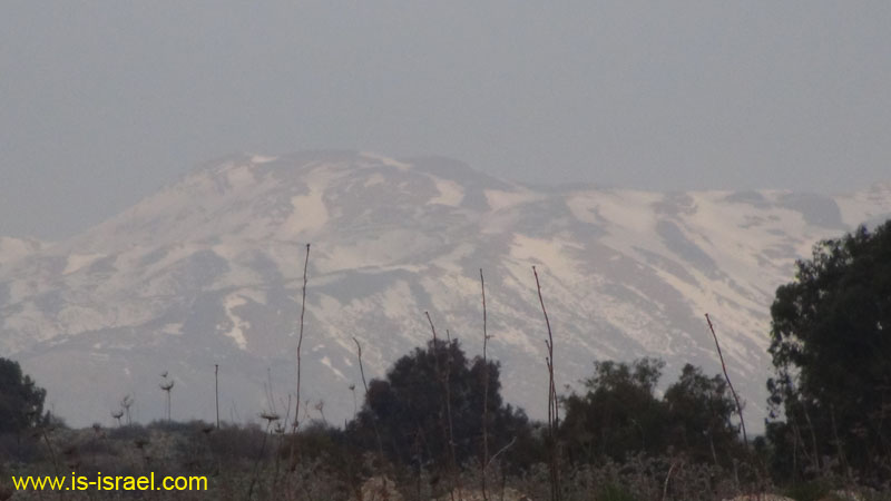 DSC09060