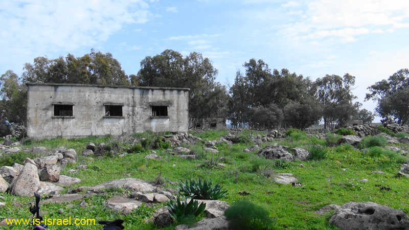 DSC09073