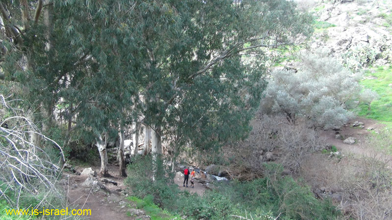 DSC09082
