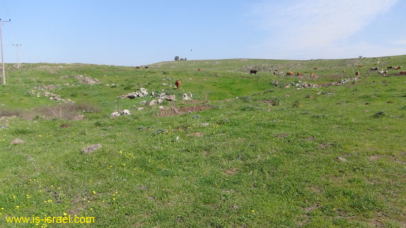 DSC09146