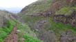 DSC09031