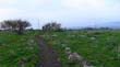 DSC09052