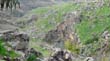 DSC09076